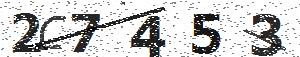 تصویر امنیتی
