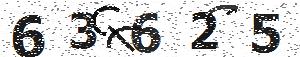 تصویر امنیتی