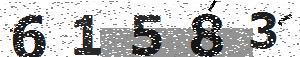 تصویر امنیتی